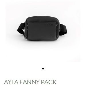 Fanny/messenger/diaper bag/purse